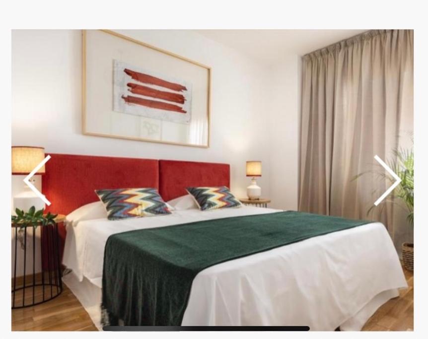 Exclusivo Duplex Con Terraza En Sevilla エクステリア 写真